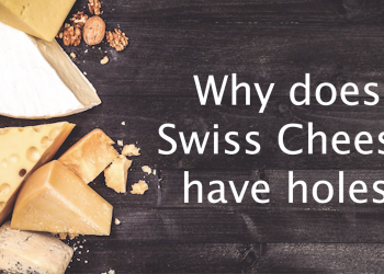 Why Does Swiss Cheese Have Holes? Understanding Cheese Part Two