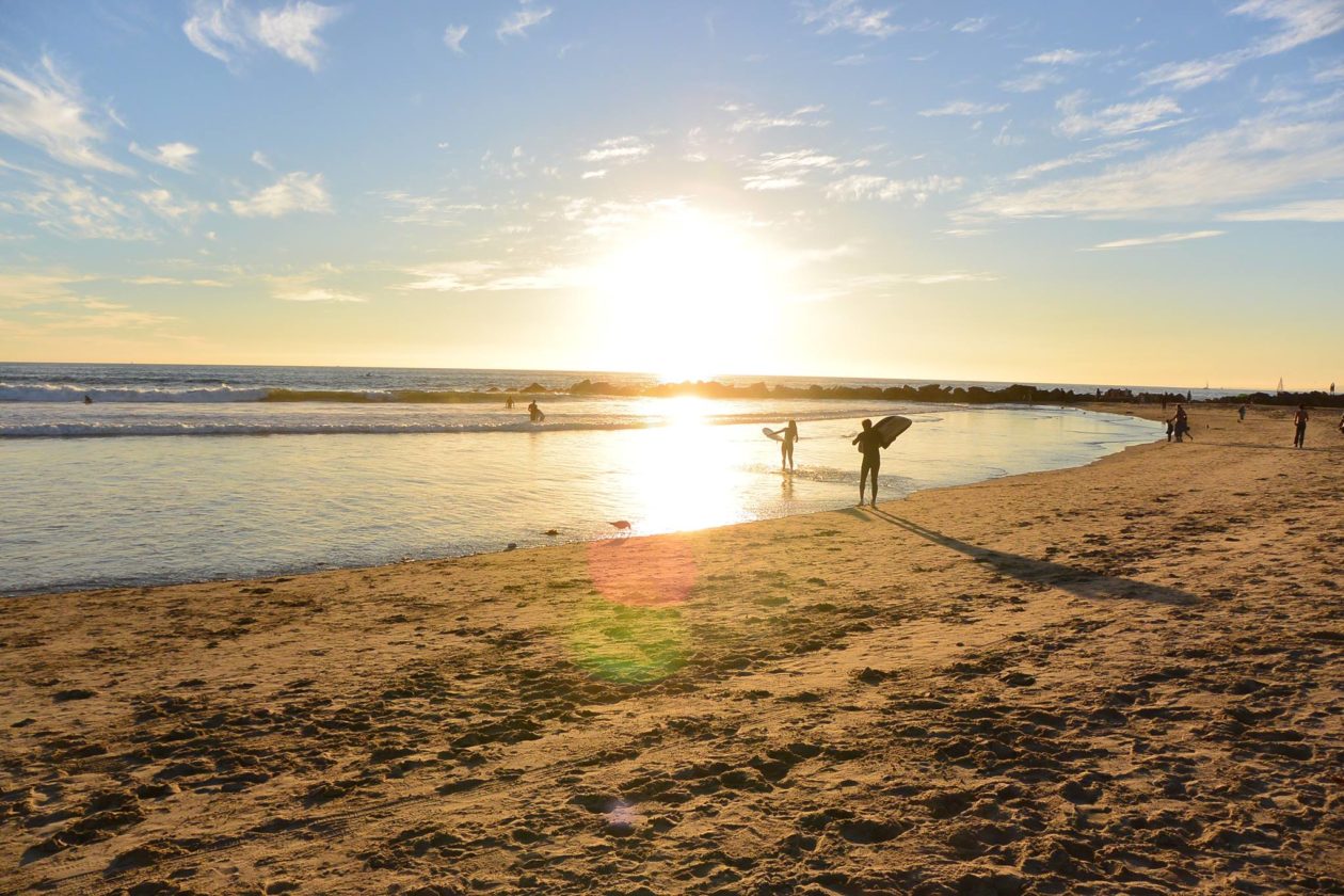 venice beach landscape
