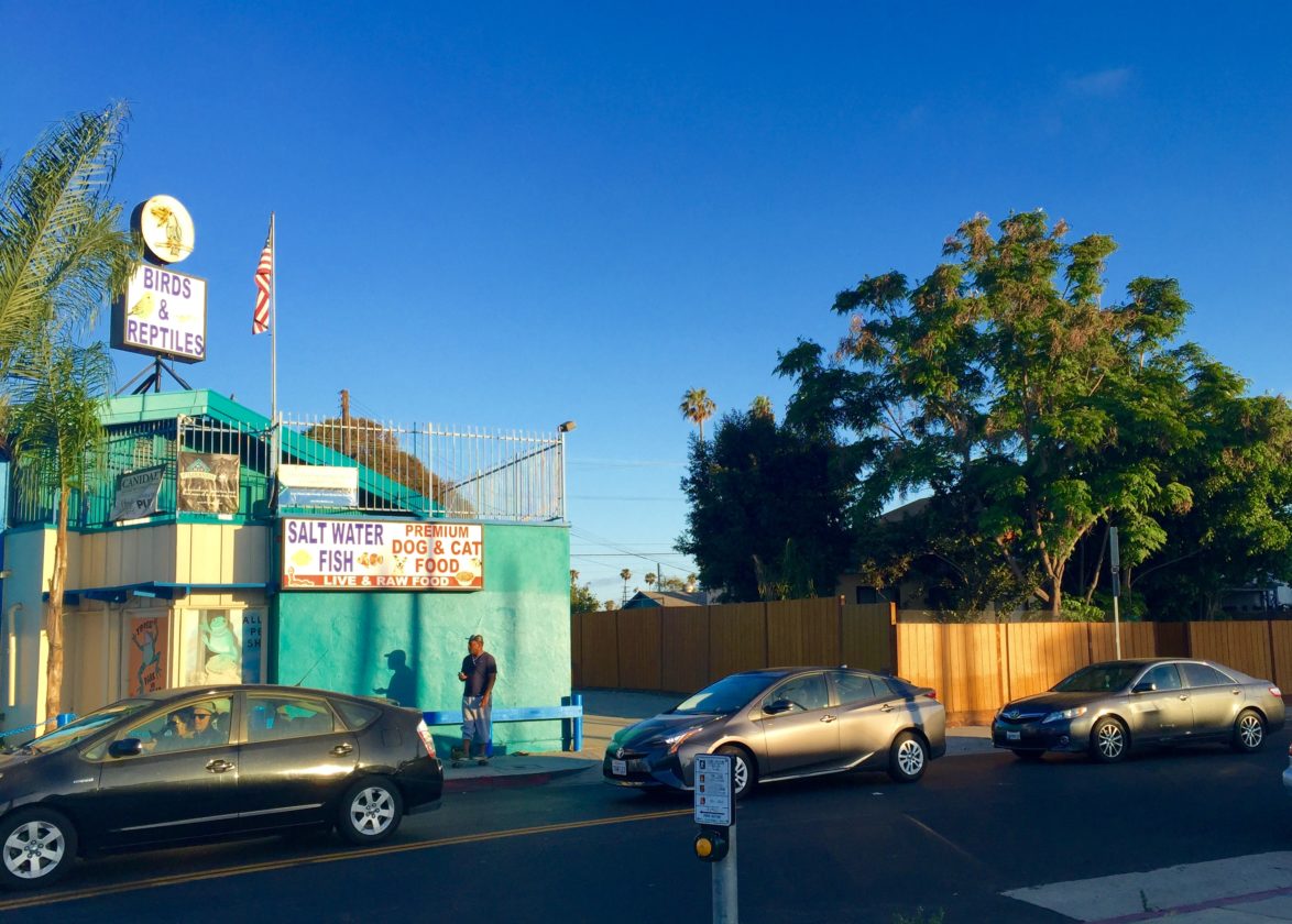 So Long Allan's Aquarium Thanks for All the Fish Yo! Venice!