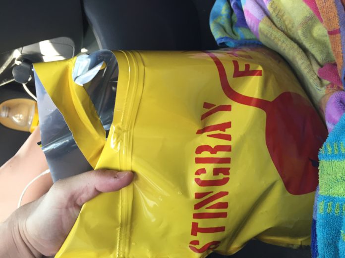 2. StingrayStingTreatment Yo! Venice!