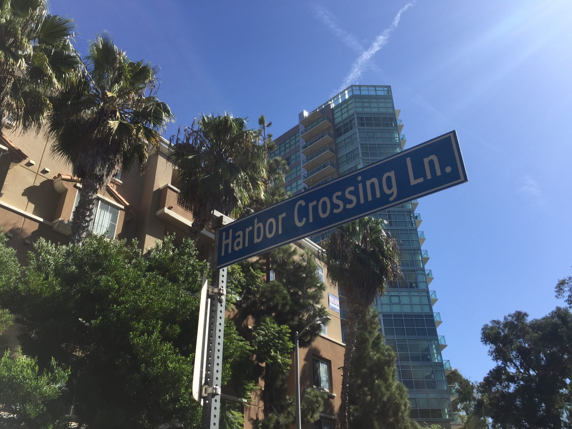 The Future of the Thatcher Yard Yo! Venice.