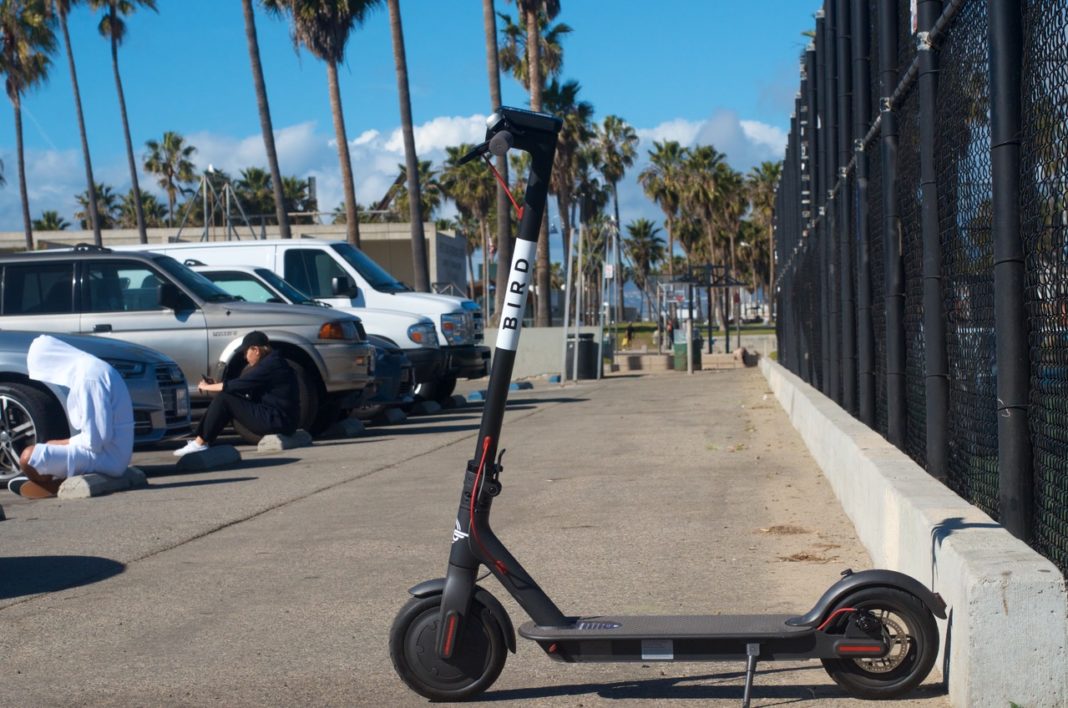 Bird Scooters Flocking to Venice Yo! Venice
