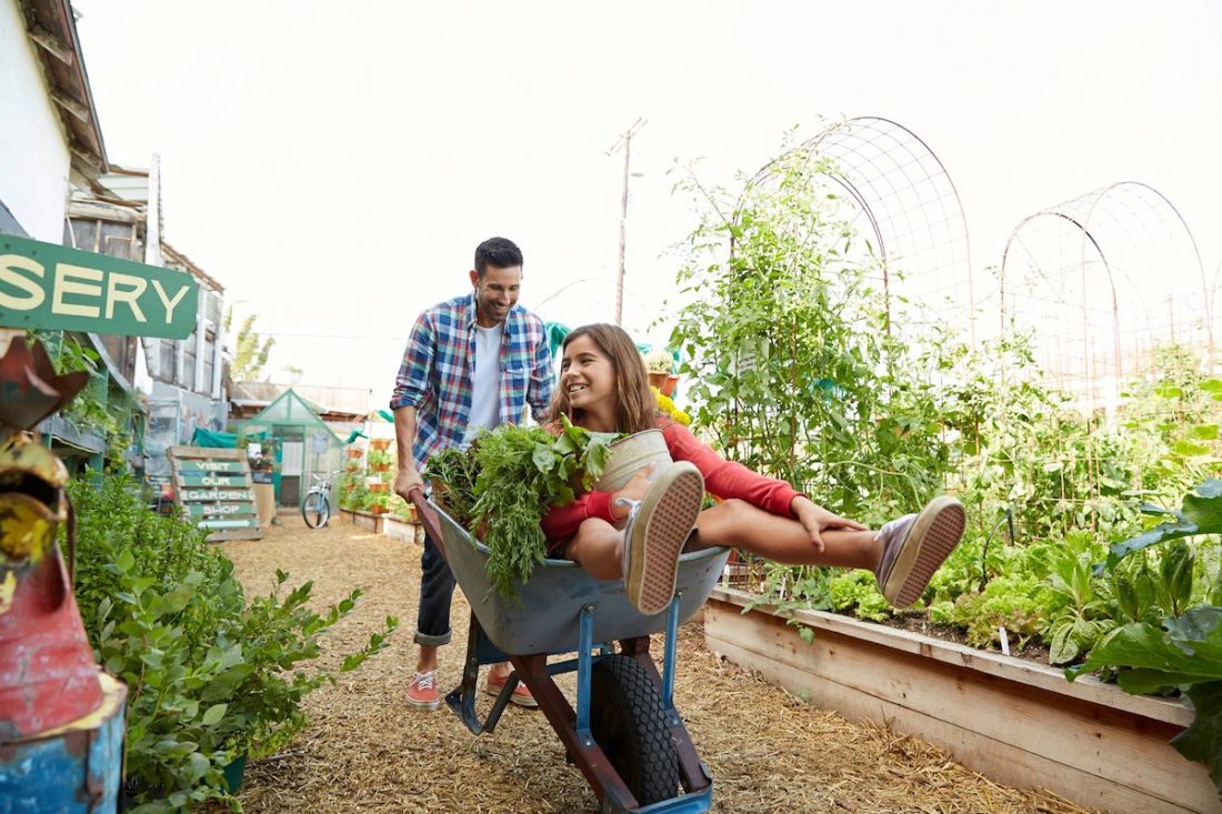 From Its City Center Home, the Cook’s Garden Venice Promotes Plant